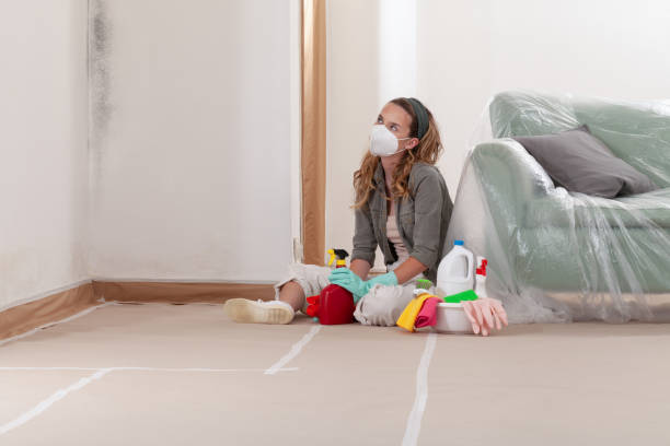 Reliable Commercial Mold Remediation contractor in Belle Plaine, MN by WQB Mold Removal